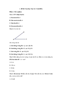 Đề thi học kì 1 môn Toán lớp 3 năm 2023 - 2024 (Đề 4) | Cánh diều