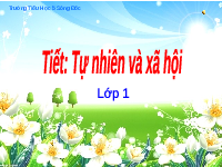 Giáo án điện tử Tự nhiên và xã hội 1 bài 16 Chân trời sáng tạo : Ôn tập và đánh giá giữa kì I