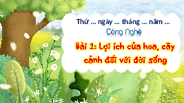 Giáo án điện tử Công nghệ 4 Bài 1 Chân trời sáng tạo: Lợi ích của hoa, cây cảnh đối với đời sống