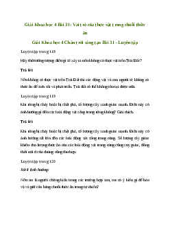 Giải Khoa học lớp 4 Bài 31: Vai trò của thực vật trong chuỗi thức ăn | Chân trời sáng tạo