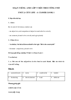 Unit 2 lớp 9 A Closer Look 1