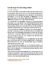 Cá sấu là gì? Cá sấu sống ở đâu?