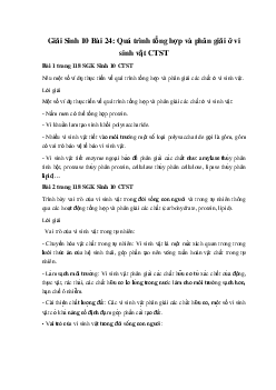 Giải Sinh 10 Bài 24: Quá trình tổng hợp và phân giải ở vi sinh vật | Chân trời sáng tạo