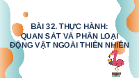 Giáo án điện tử Khoa học tự nhiên 6 bài 32 Chân trời sáng tạo : Thực hành quan sát và phân loại động vật ngoài thiên nhiên