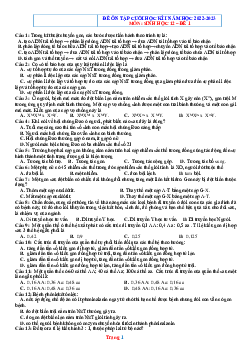 TOP 3 đề ôn thi cuối học kỳ I năm 2022-2023 môn sinh học 12 (có đáp án)