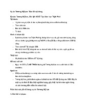 Vụ án Trương Mỹ Lan: Tóm tắt nội dung