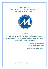Tiểu luận khảo sát các yếu tố ảnh hưởng đến sự hài lòng khi sử dụng thương hiệu thời trang nội địa