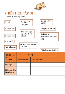 Phiếu học tập số 1 | Đại học Sư Phạm Hà Nội