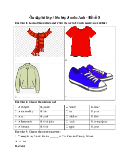 Ôn tập hè lớp 4 lên lớp 5 môn Anh - Đề số 8