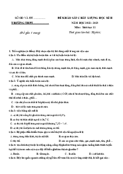 Đề thi học kì 2 môn Sinh học lớp 11 năm 2022 - 2023 | Đề 7