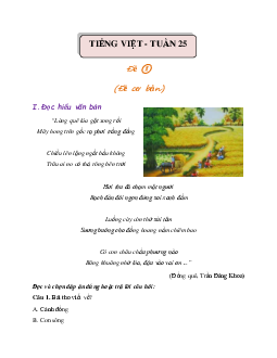 Bài tập cuối tuần lớp 3 môn Tiếng Việt Chân trời sáng tạo - Tuần 25 (Nâng cao)