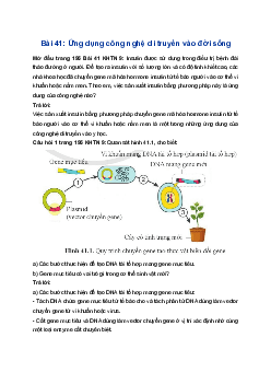 Giải Khoa học tự nhiên 9 Cánh diều Bài 41: Ứng dụng công nghệ di truyền vào đời sống