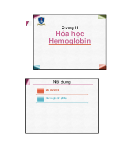 Bài giảng môn Hóa đại cương về "Hóa học Hemogoblin"