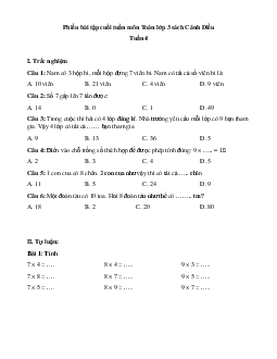 Phiếu bài tập cuối tuần Toán lớp 3 - Tuần 4 ( Cơ bản ) |  Cánh Diều