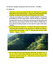 Chiến lược Marketing Chính của VinFast | Nguyên Lý Marketing | Đại học Tôn Đức Thắng