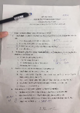 Đề thi cuối kỳ học phần Xây dựng văn bản pháp luật năm 2024 - 2025 | Đại học Luật Thành phố Hồ Chí Minh