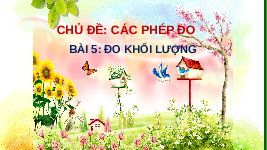 Giáo án điện tử Khoa học tự nhiên 6 bài 5 Chân trời sáng tạo : Đo khối lượng