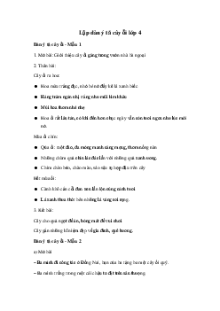 Dàn ý Tả cây ổi | Tập làm văn lớp 4