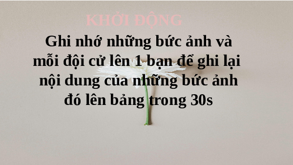 Giáo án điện tử Khoa học tự nhiên 8 Bài 42 Kết nối tri thức: Quần thể sinh vật