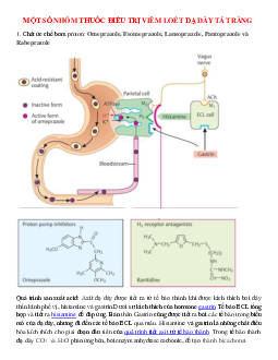 Các nhóm thuốc điều trị viêm loét dạ dày tá tràng