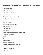 Vi phân là gì? Nguyên hàm là gì? Bảng công thức nguyên hàm | Toán 10