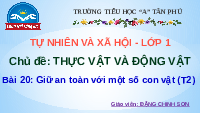 Giáo án điện tử Tự nhiên và xã hội 1 bài 20 Chân trời sáng tạo : Giữ an toàn với một số con vật