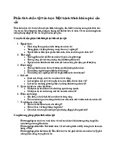 Phân Tích Nhân Vật Văn Học: Hành Trình Khám Phá Nhân Vật Lão Hạc