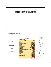 Bảng kết quả SPSS môn Thống kê trong kinh tế và kinh doanh | Trường Đại học Kinh tế Quốc dân
