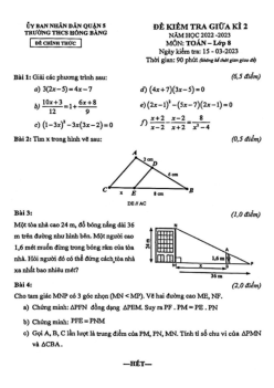 Đề giữa kì 2 Toán 8 năm 2022 – 2023 trường THCS Hồng Bàng – TP HCM