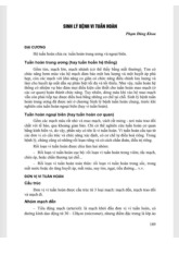 Sinh lý bệnh tuần hoàn: Nghiên cứu về tuần hoàn trung ương và ngoại biên môn Sinh lý bệnh | Trường Đại Học Tây Nguyên