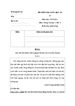 Đề thi Tiếng Việt giữa kì 2 lớp 4 sách Chân trời sáng tạo - Đề 3