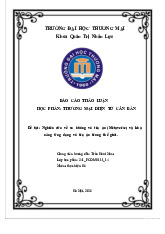 Nghiên cứu về xu hướng vũ trụ ảo (Metaverse) và khả năng ứng dụng vũ trụ ảo trong thế giới | Bài thảo luận thương mại điện tử căn bản