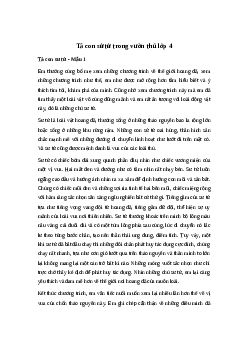 Tả con sử tử trong vườn thú | Tập làm văn 4