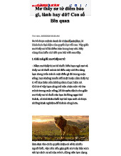 Mơ Thấy Sư Tử: Diễn Giải Điềm Báo và Con Số Liên Quan