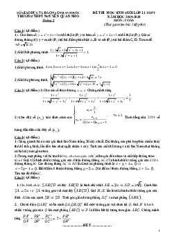 Đề thi HSG Toán 11 năm 2019 – 2020 trường Nguyễn Quán Nho – Thanh Hóa