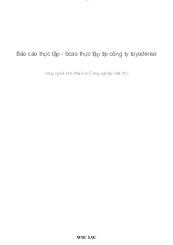 Báo cáo thực tập