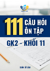 111 câu hỏi ôn tập kiểm tra giữa học kì 2 môn Toán 11