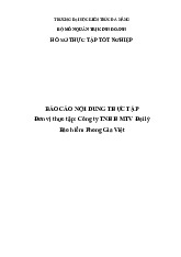 Báo cáo Công ty bảo hiểm Phong Gia Việt môn Thực tập tốt nghiệp | Trường Đại học Kiến trúc Đà Nẵng