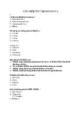 Câu hỏi trắc nghiệm ôn tập Big data môn Công nghệ thông tin  | Trường đại học kinh doanh và công nghệ Hà Nội