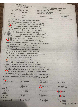 Đề thi tuyển sinh vào 10 môn Tiếng Anh của Sở GD&ĐT Yên Bái năm học 2024 - 2025