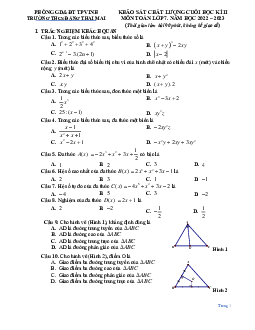 Đề cuối học kì 2 Toán 7 năm 2022 – 2023 trường THCS Đặng Thai Mai – Nghệ An