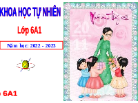 Giáo án điện tử Khoa học tự nhiên 6 bài 16 Kết nối tri thức : Hỗn hợp các chất