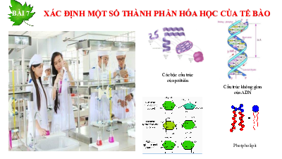 Bài 7 | Bài giảng PowerPoint môn Sinh học 10 | Chân trời sáng tạo