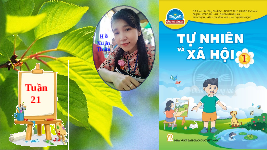 Giáo án điện tử Tự nhiên và xã hội 1 bài 20 Chân trời sáng tạo : Giữ an toàn với một số con vật