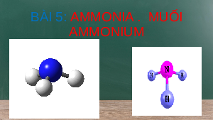 Giáo án điện tử Hoá học 11 Bài 5 Kết nối tri thức: Ammonia. Muối ammonium