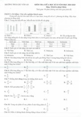 Đề giữa kì 2 Toán 6 năm 2024 – 2025 trường THCS Chu Văn An – Bình Dương có đáp án