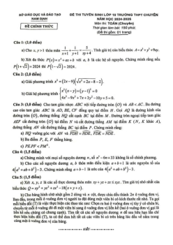 Đề tuyển sinh lớp 10 chuyên môn Toán (chuyên) năm 2024 – 2025 sở GD&ĐT Nam Định