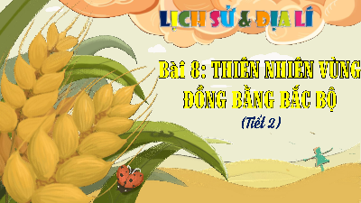 Bài giảng điện tử môn Lịch sử - Địa lý 4 | T2. Bài 8. THIÊN NHIÊN VÙNG ĐỒNG BẰNG BẮC BỘ | Kết nối tri thức