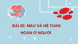 Giáo án điện tử Khoa học tự nhiên 8 Bài 30 Cánh diều: Máu và hệ tuần hoàn ở người