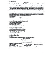 Tổng hợp bài thi - Văn và Toán lớp 3, Tuần 29, Đề số 1